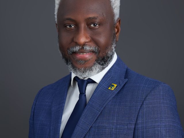 Ugochukwu Obi- Chukwu - Image 1